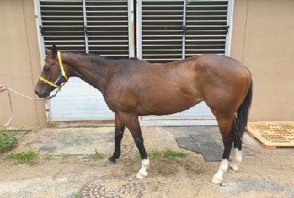 �ְ����� ����