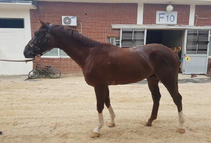 ��������Ʈ�� ����