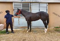 ���̿��� (MY WORLD) ����