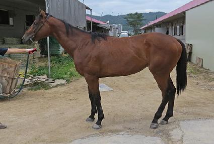 ��⽺Ʈ��Ʈ ����