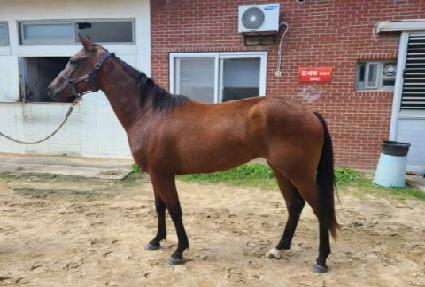 ������ ����