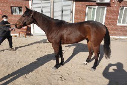 Ƽ���̻���� ����