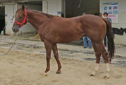 ���ǰ��� ����