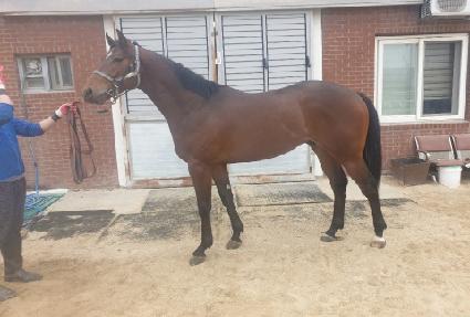 Ŭ����Ʈ ����