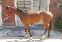 �Źٶ��� (SINBARAM GIL) ����