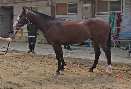 ���䷱ ����