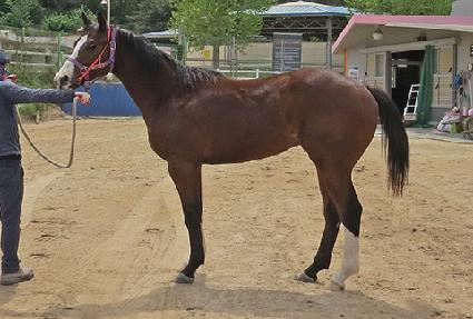 ����è�� ����