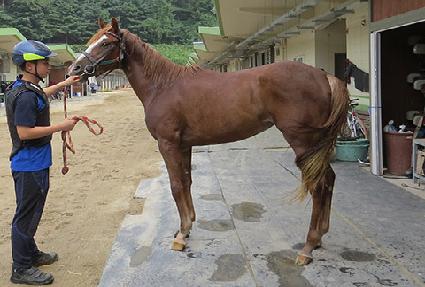 �ǿ������ٶ� ����