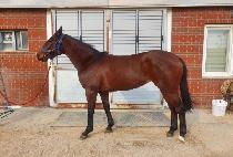 ��Ŭ����� (EL CLASICO) ����