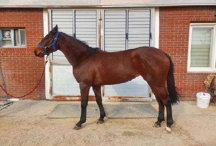 ��Ŭ����� ����