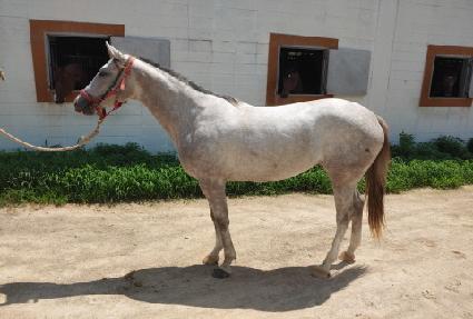 �������Ǿ ����