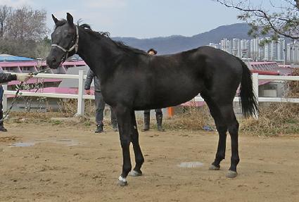 �̽���ȣ ����