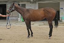 ���ǽ���Ƽ (HAPPY SMARTY) ����