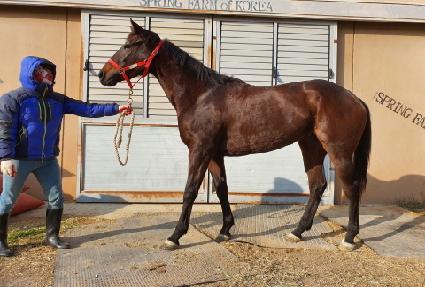 ��ó�罺�� ����