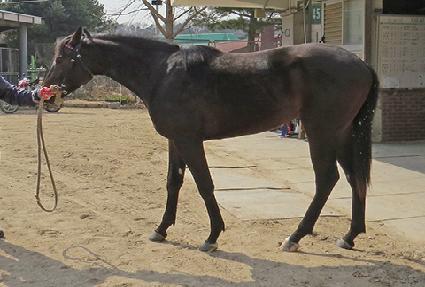 Ư�� ����