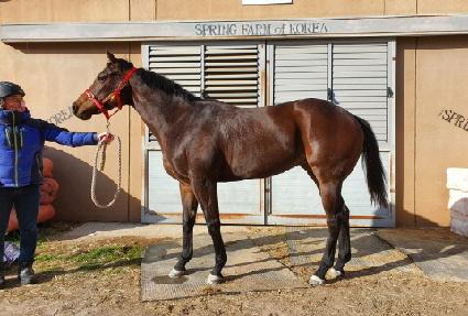 �¸������� ����