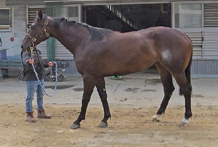 Ƽ�ĴϺ��� ����