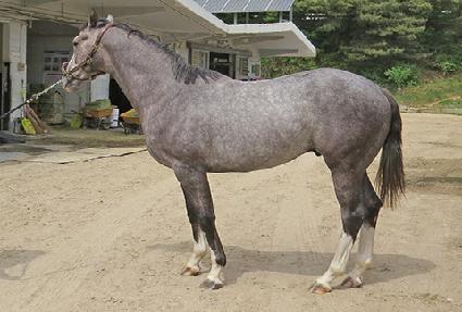 �׼�Ʈ ����