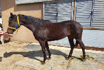 YEONGGWANGUICHUKJE picture