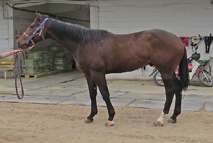 ������ ����