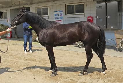 �������ϵ� ����