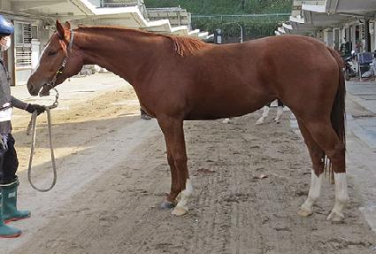 ���ڶ�ε� ����