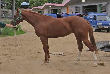 �̽�ķ�� ����