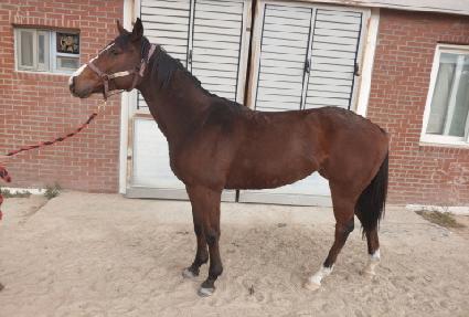 ��θ� ����