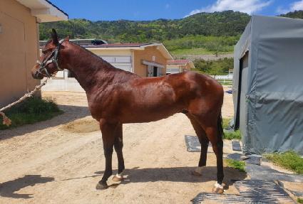 ��Ͻ�Ÿ ����