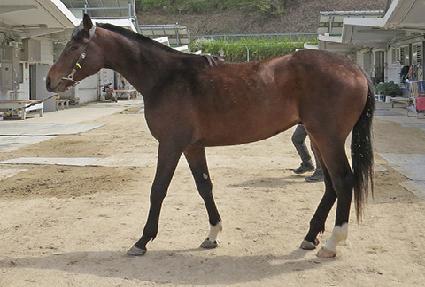 ����ĸƾ ����