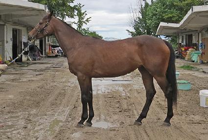 ���̿��޴��� ����