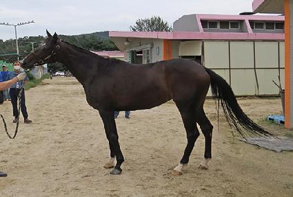 ���ø�Ʈè�� ����