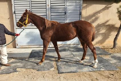 ����Ÿ�� ����