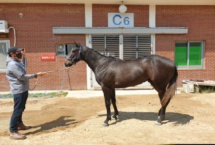 �غ���Ÿ�� ����