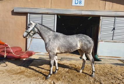 õ���Ŀ� ����