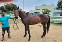 �ź��Ѻ��� (SINBIHAN BOMUL) ����