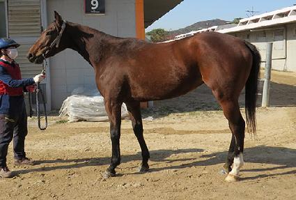 �帲��ũ ����