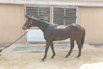 ������ ����