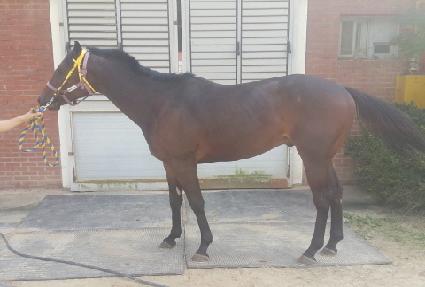 ��������� ����