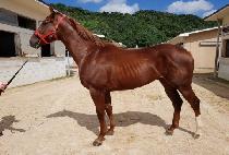 ���Ŀ� (GOOD POWER) ����