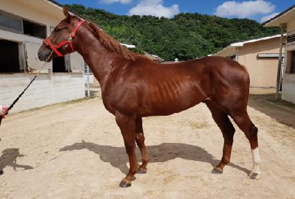 ���Ŀ� ����