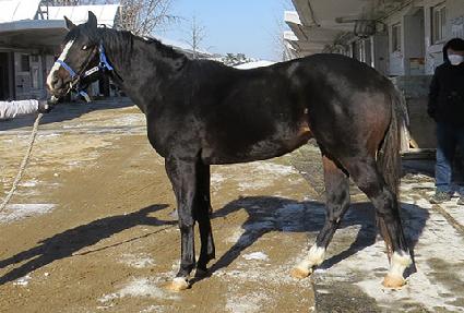 �ٴ��ǲ� ����