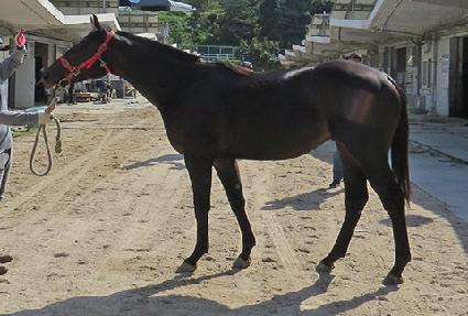 �������� ����