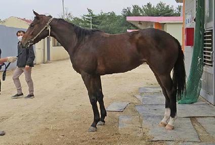 ��������Ƽ�� ����