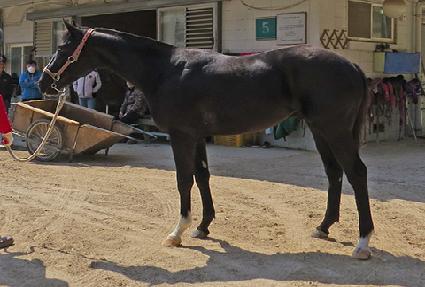 �ں�� ����