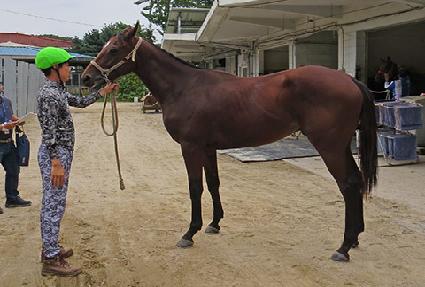 ��Ű�ٿ� ����