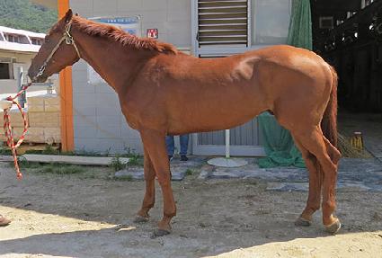 �������̺��� ����