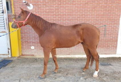 ������ŷ ����