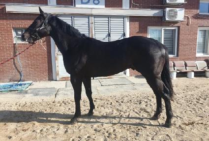 ���ϵ���� ����