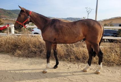 �ι̽�Ÿ ����